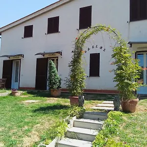 Valery Capannori
